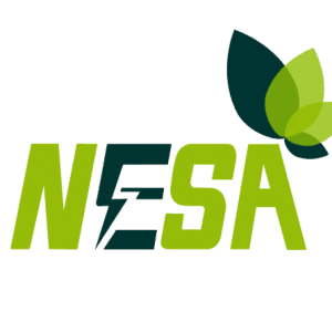 nesA.pngLogo nesA.pngLogo
